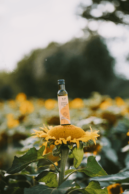 Sonnenblumenöl 2