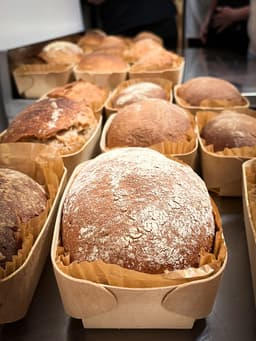 Brotbackkurs: Brote mit Sauerteig und mehr 2